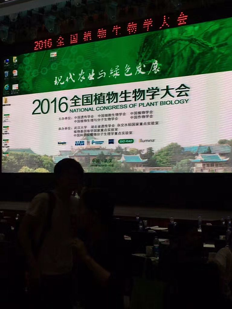 &aelig;&shy;&brvbar;&aelig;&plusmn;?4.jpg