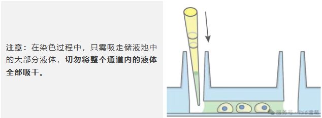 6.png