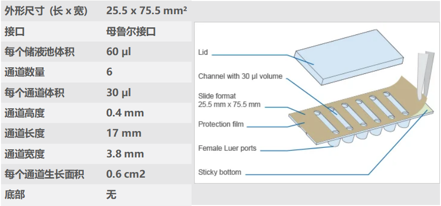 圖片4.png