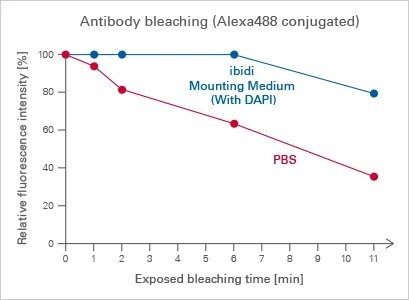 R_500XX_IMM_antibody_bleaching.jpg